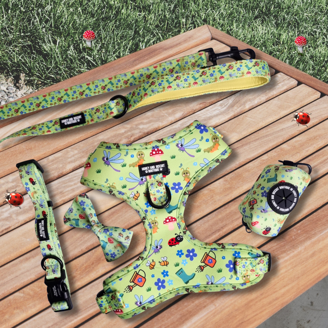 Dog Walkies Bundle - Bugalicious Garden