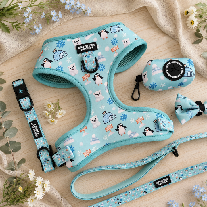Frosted Delight – Complete Walkies Bundle for Small Dogs (5 Piece Set)