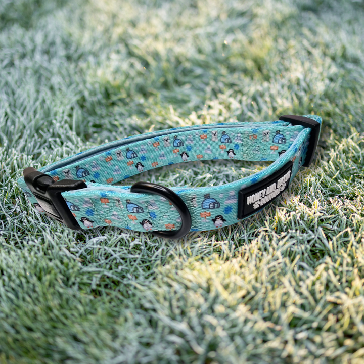 Dog Collars - Frosted Delight Medium