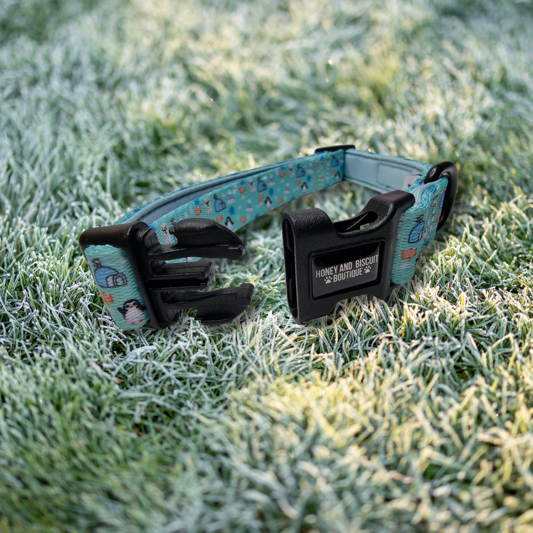 Dog Collars - Frosted Delight