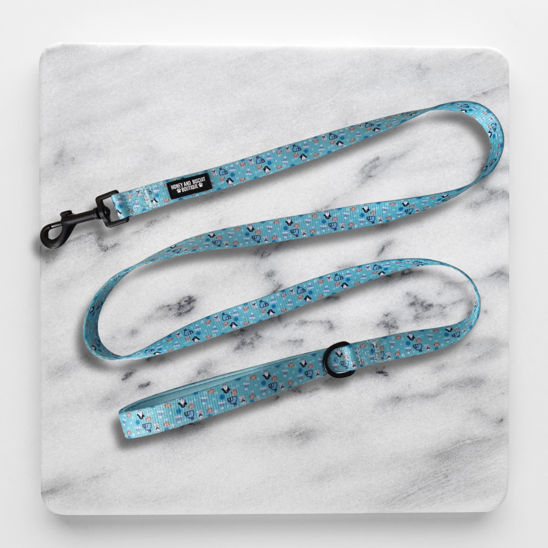 Frosted Delight – Harness, Lead & Collar Bundle for Small Dogs (3 Piece Set)