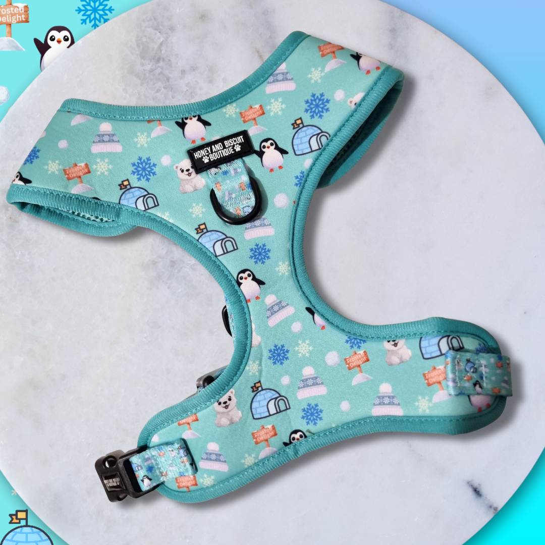Adjustable Dog Harness Frosted Delight Small
