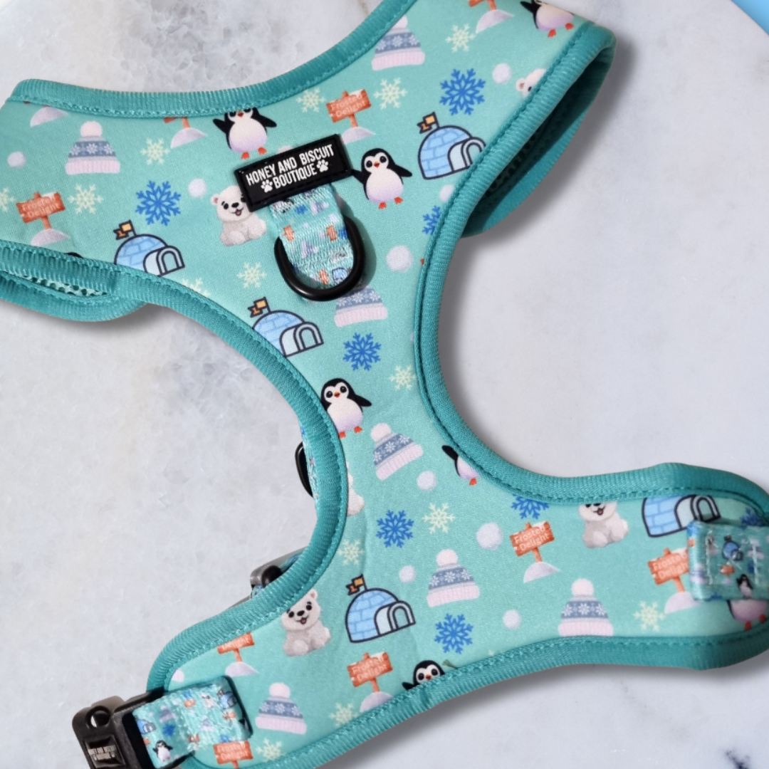 Frosted Delight – Harness, Lead & Collar Bundle for Small Dogs (3 Piece Set)