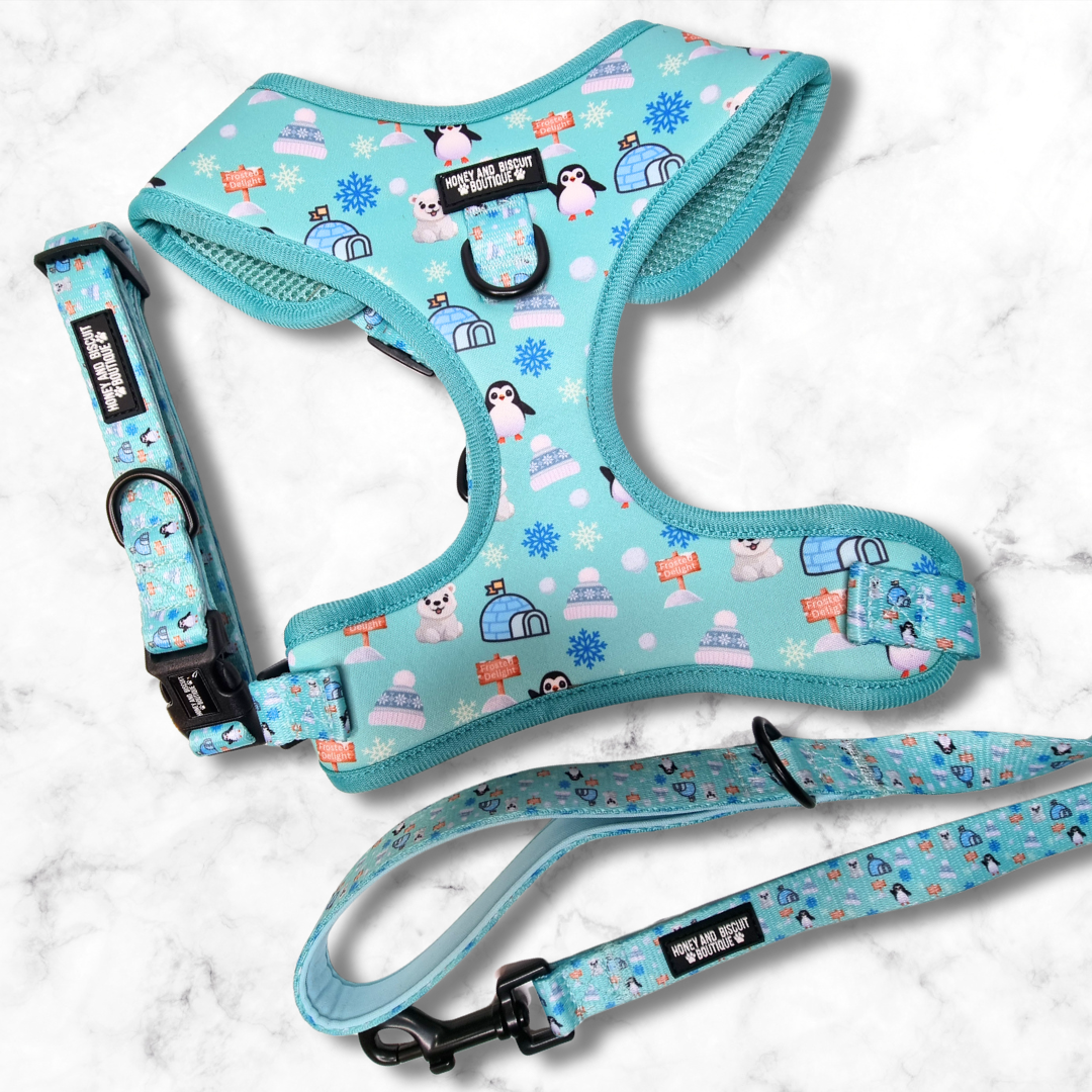 Frosted Delight – Harness, Lead & Collar Bundle for Small Dogs (3 Piece Set)