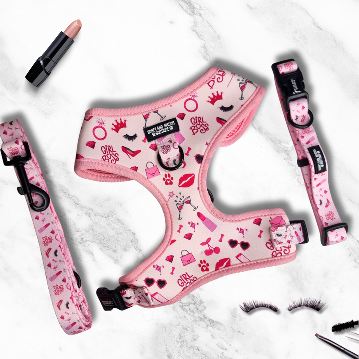 Dog Harness, Collar & Lead Bundle - Girl Boss