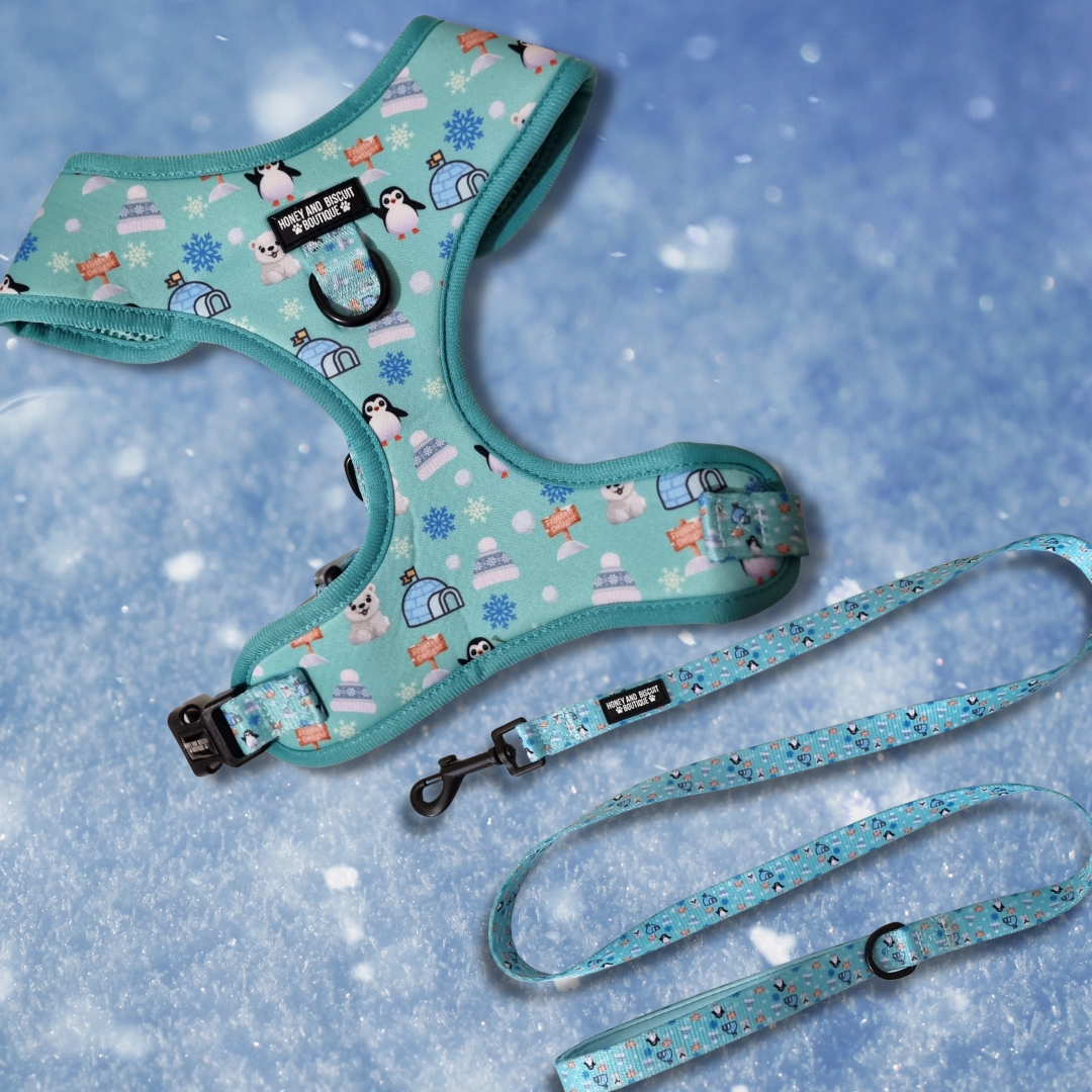 Frosted Delight – Harness, Lead & Collar Bundle for Small Dogs (3 Piece Set)