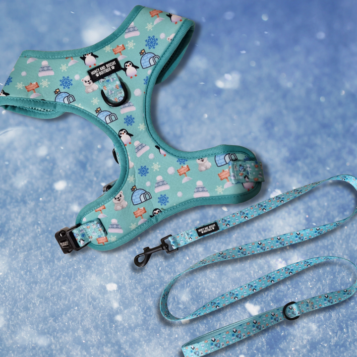 Frosted Delight Harness and Lead Bundle