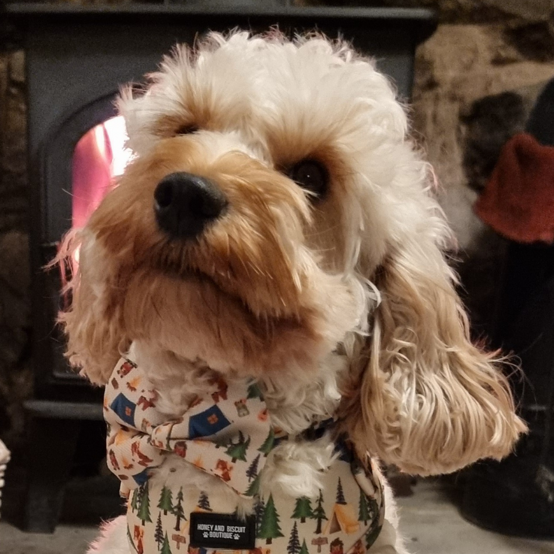 Dog Bow - Pup's In The Woods