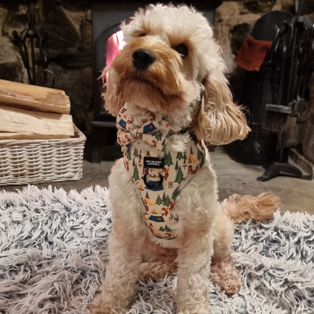 Dog Harness, Collar & Lead/Leash Bundle - Pups In The Woods