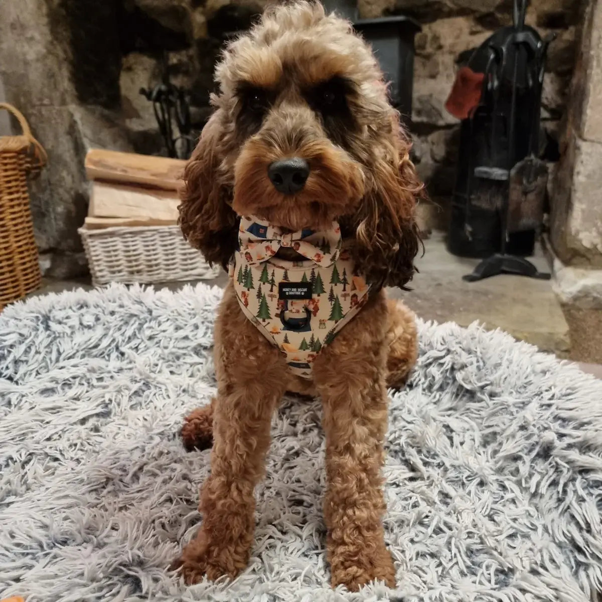 Pups In The Woods – Harness, Lead & Collar Bundle for Small Dogs (3 Piece Set)