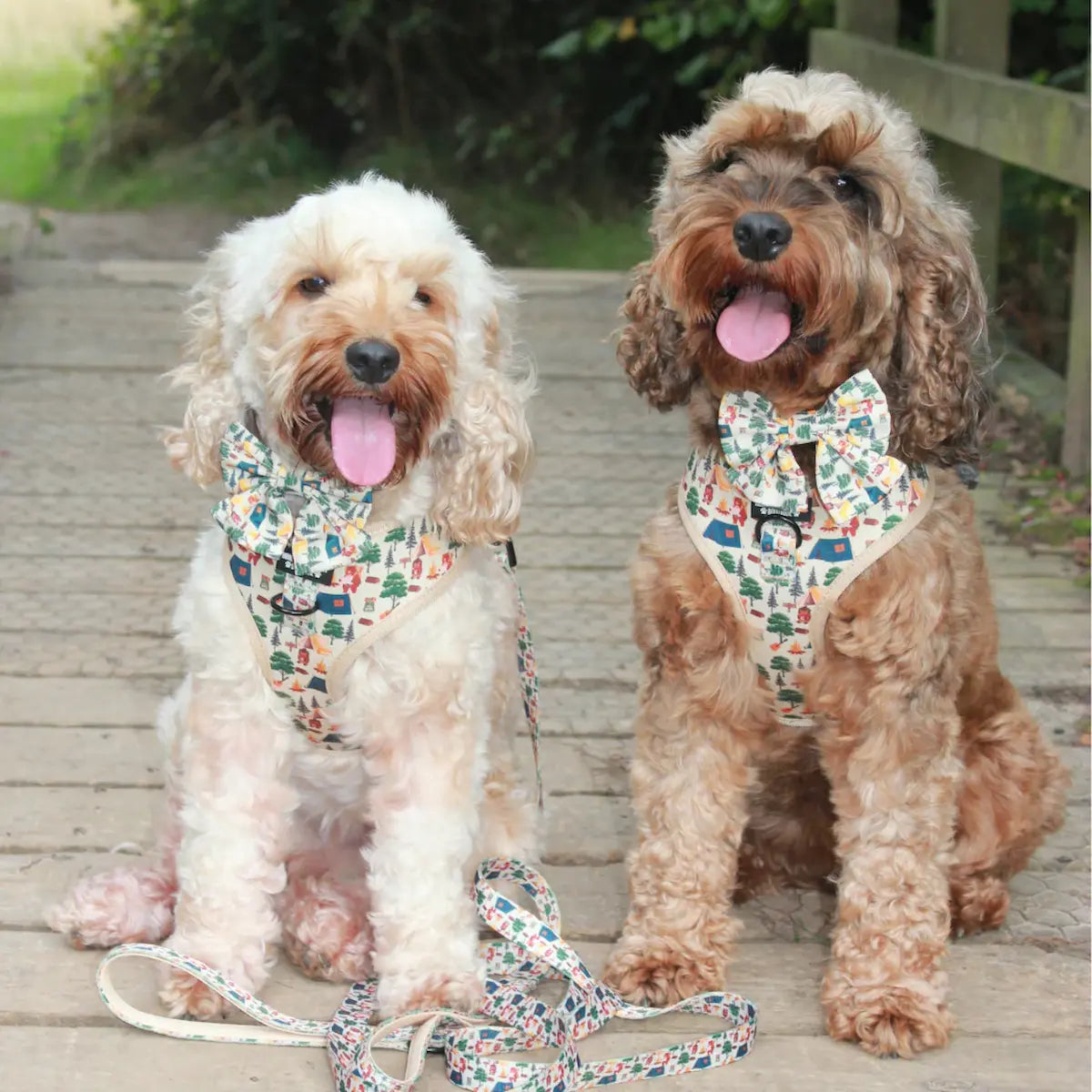Pups In The Woods – Harness, Lead & Collar Bundle for Small Dogs (3 Piece Set)