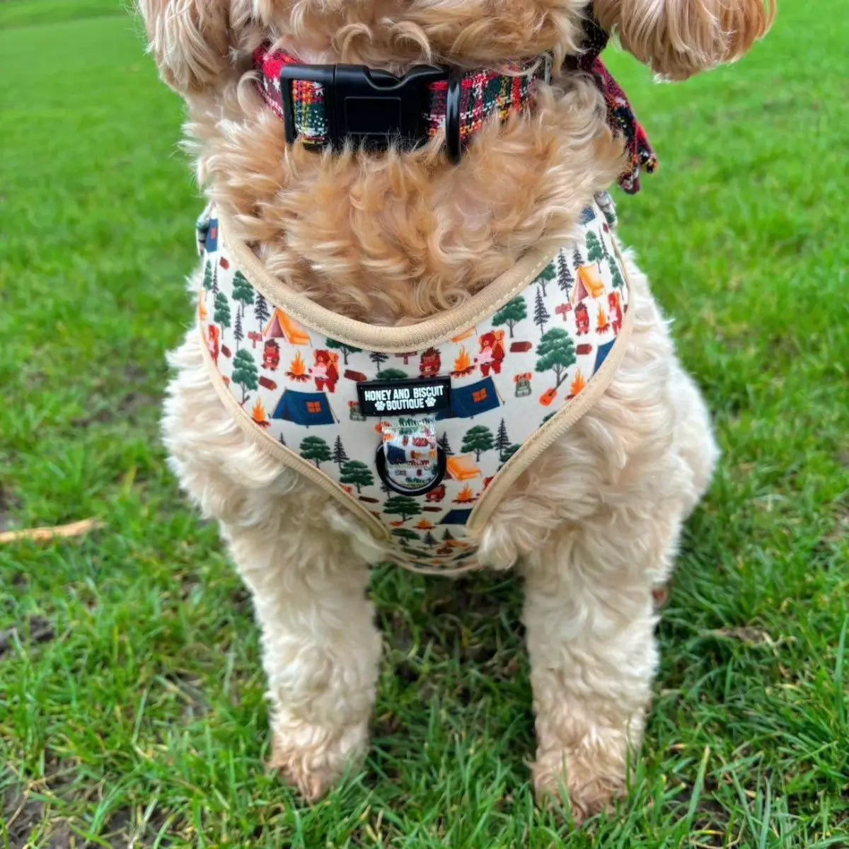 Pups In The Woods – Harness, Lead & Collar Bundle for Small Dogs (3 Piece Set)