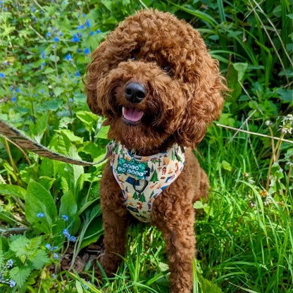 Pups In The Woods – Adjustable Dog Harness (No Pull)