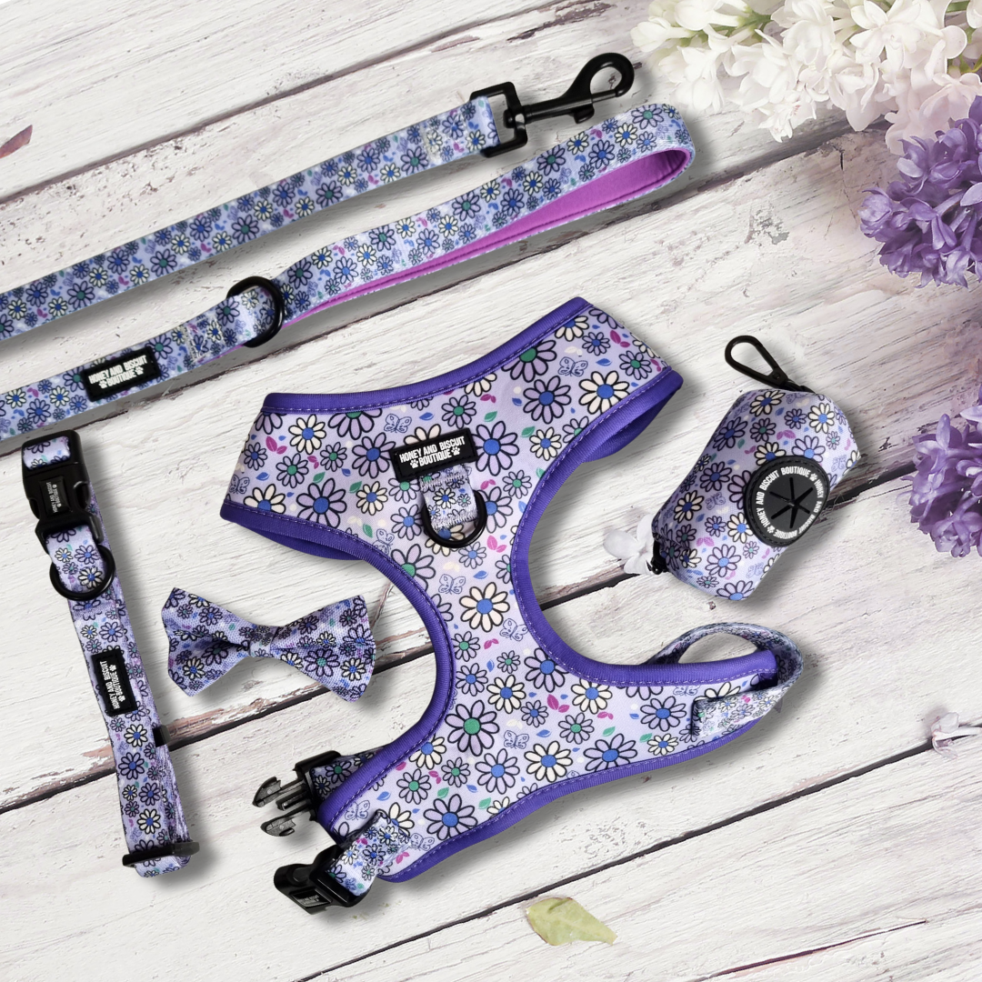 Dog Walkies Bundle - Pups A Daisy Lilac