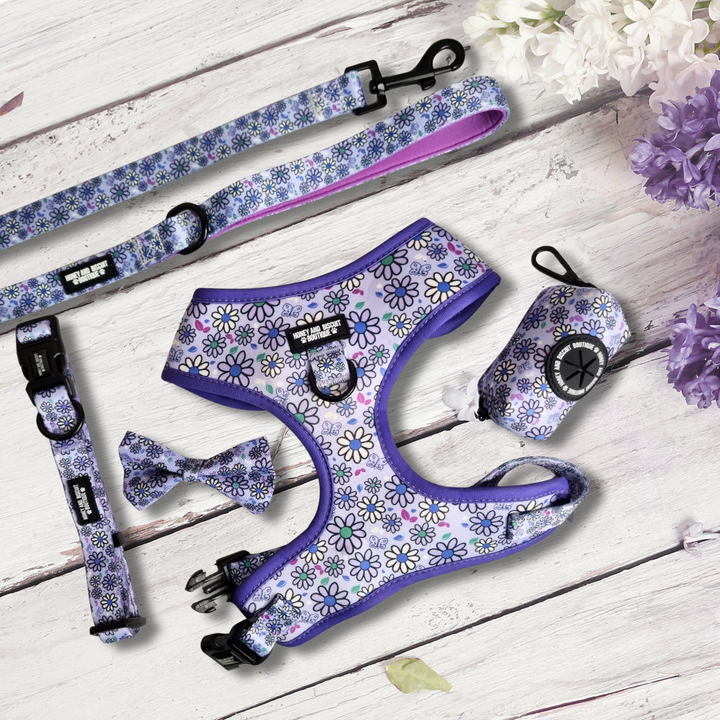 Dog Walkies Bundle - Pups A Daisy Lilac