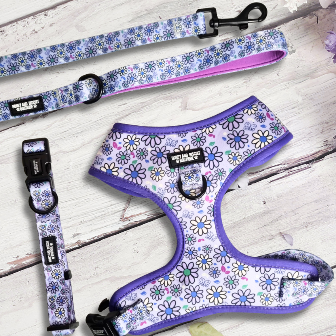Dog Harness, Collar & Lead Bundle - Pups A Daisy Lilac