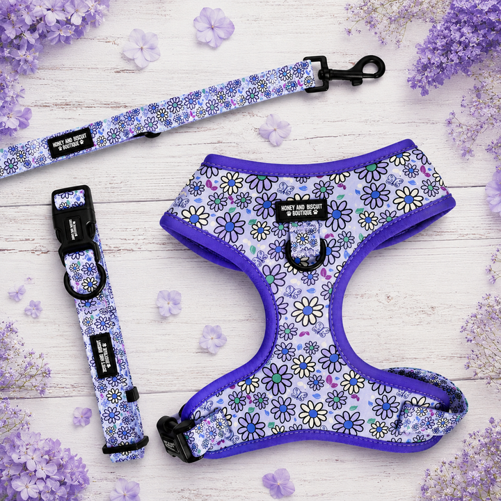 Pups A Daisy Lilac – Harness, Lead & Collar Bundle for Small Dogs (3 Piece Set)