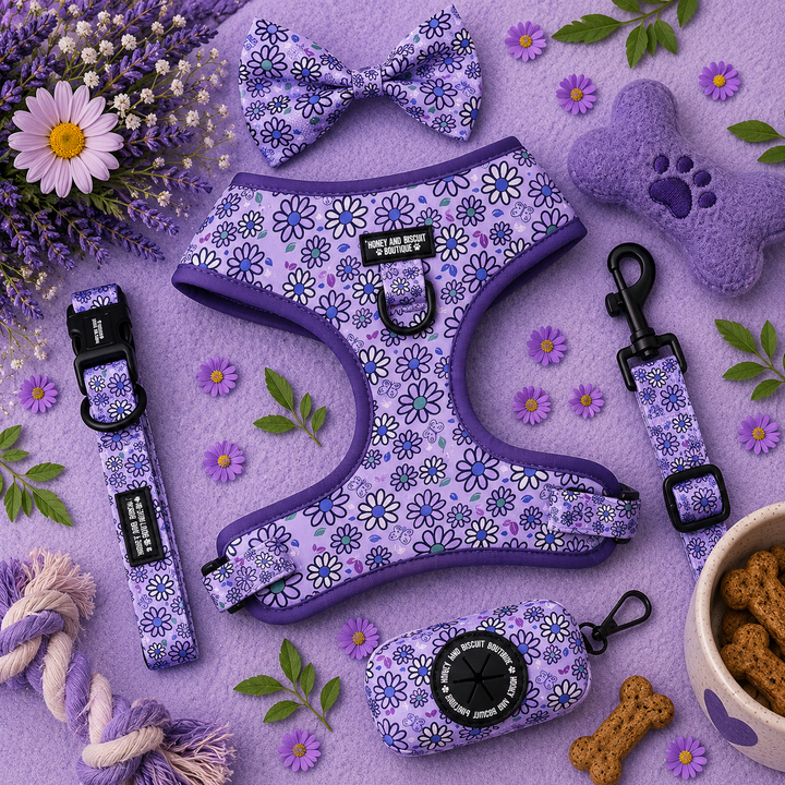 Pups A Daisy Lilac – Complete Walkies Bundle for Small Dogs (5 Piece Set)