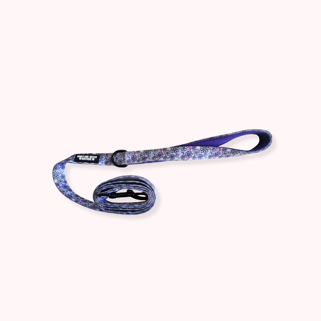 Pups A Daisy Lilac – Complete Walkies Bundle for Small Dogs (5 Piece Set)