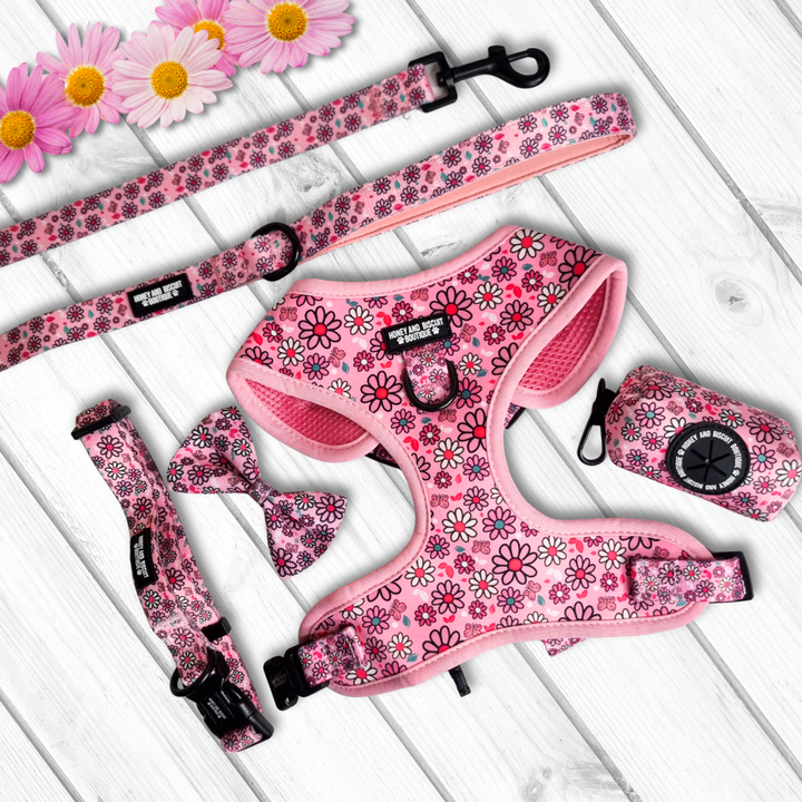 Dog Walkies Bundle - Pups A Daisy Pink