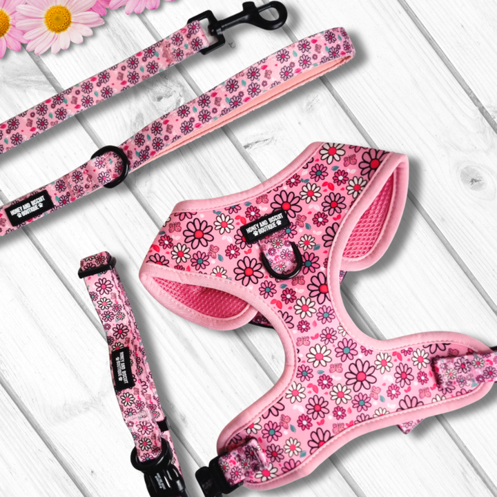 Dog Harness, Collar & Lead Bundle - Pups A Daisy Pink