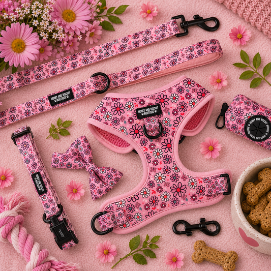 Pups A Daisy Pink – Complete Walkies Bundle (5 Piece Set)