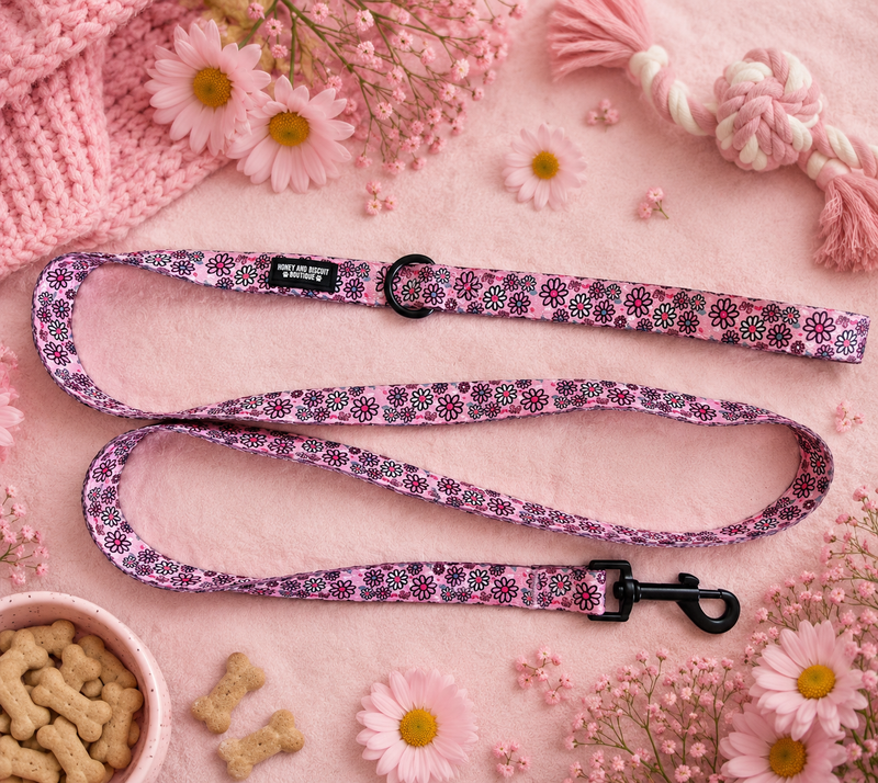 Leads