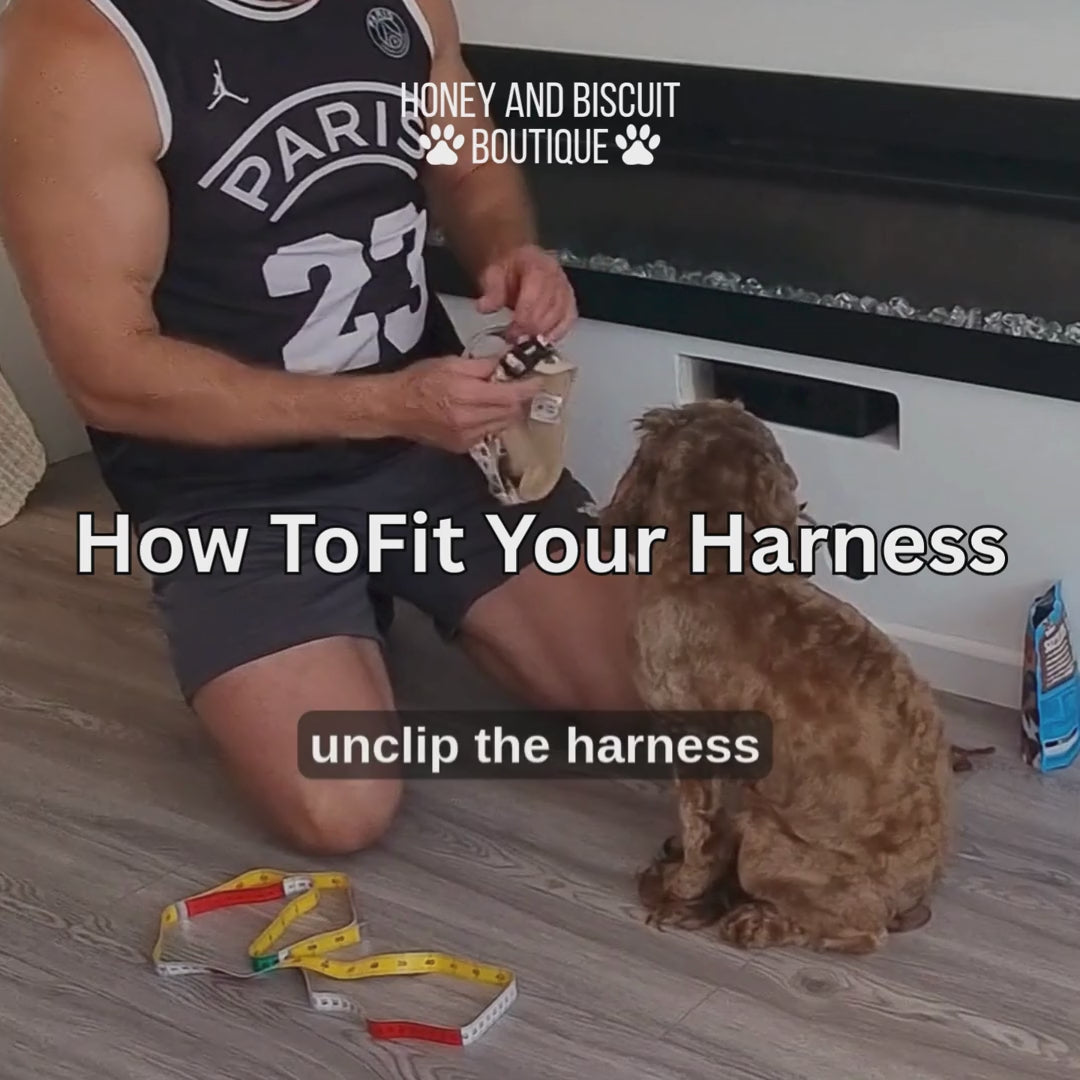 Frosted Delight – Adjustable Dog Harness for Small Dogs (No Pull)