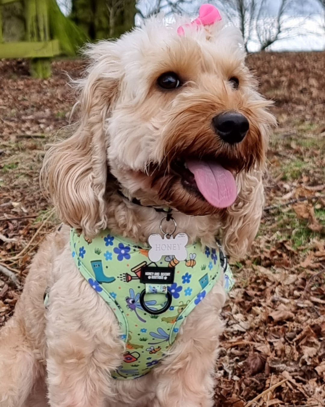 Bugalicious Garden – Complete Walkies Bundle for Small Dogs (5 Piece Set)