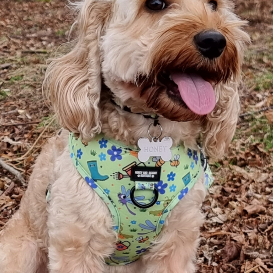 Bugalicious Garden – Adjustable Dog Harness for Small Dogs (No Pull)