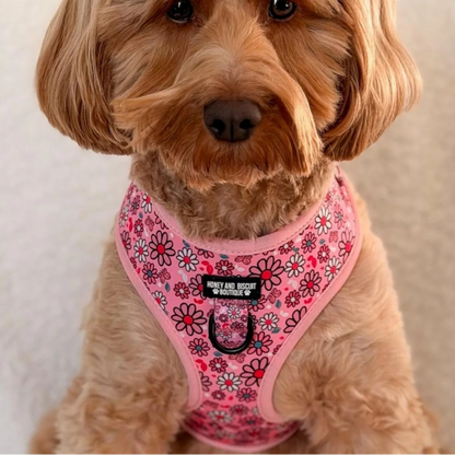 Pups A Daisy Pink – Complete Walkies Bundle (5 Piece Set)