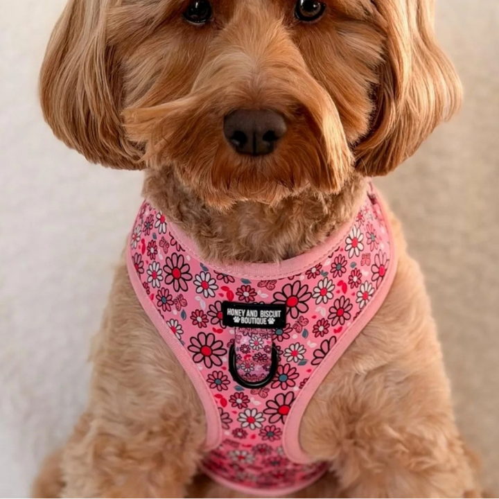 Pups A Daisy Pink– Adjustable Floral Dog Harness for Small Dogs (No Pull)