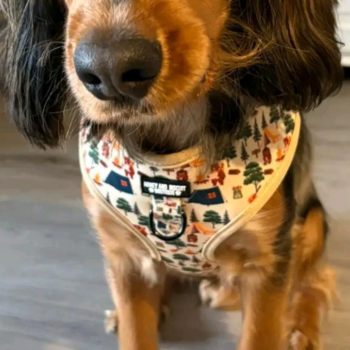 Pups In The Woods – Adjustable Dog Harness for Small Dogs (No Pull)
