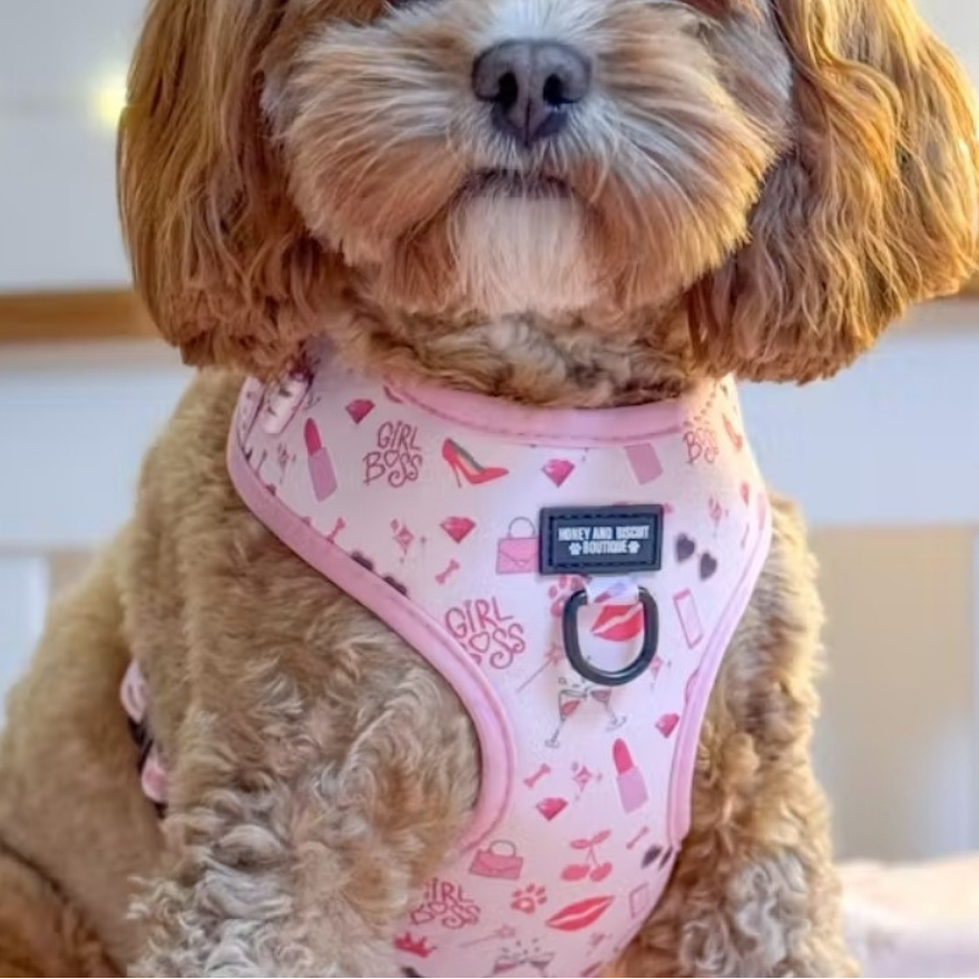 Girl Boss – Adjustable Dog Harness for Small Dogs (No Pull)