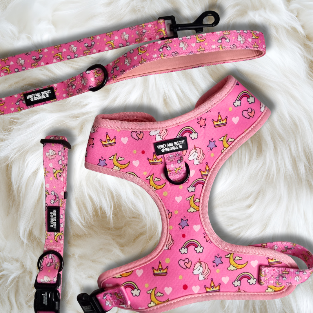 Dog Harness, Collar & Lead Bundle - Rainbow Dreams