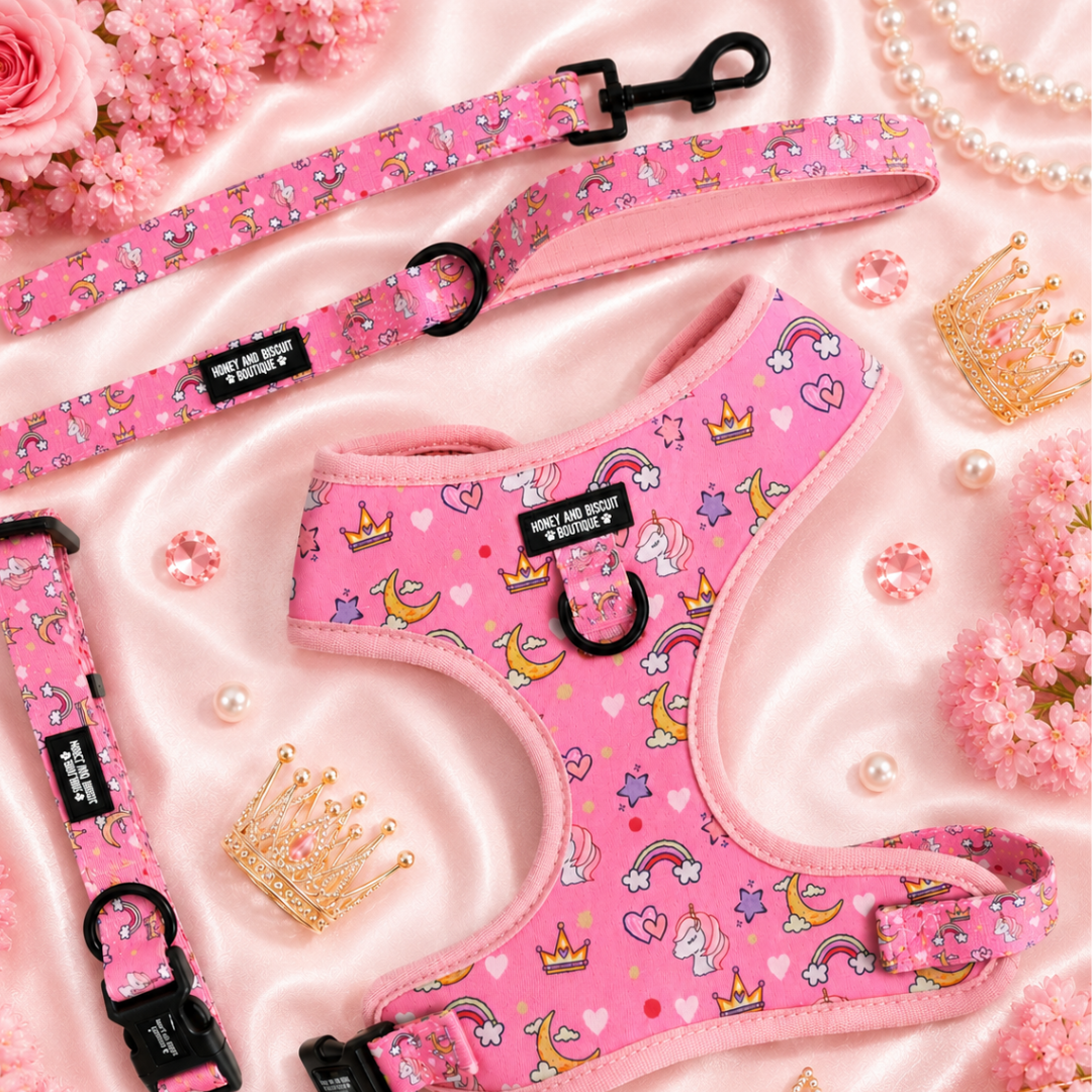 Rainbow Dreams – Harness, Lead & Collar Bundle for Small Dogs (3 Piece Set)