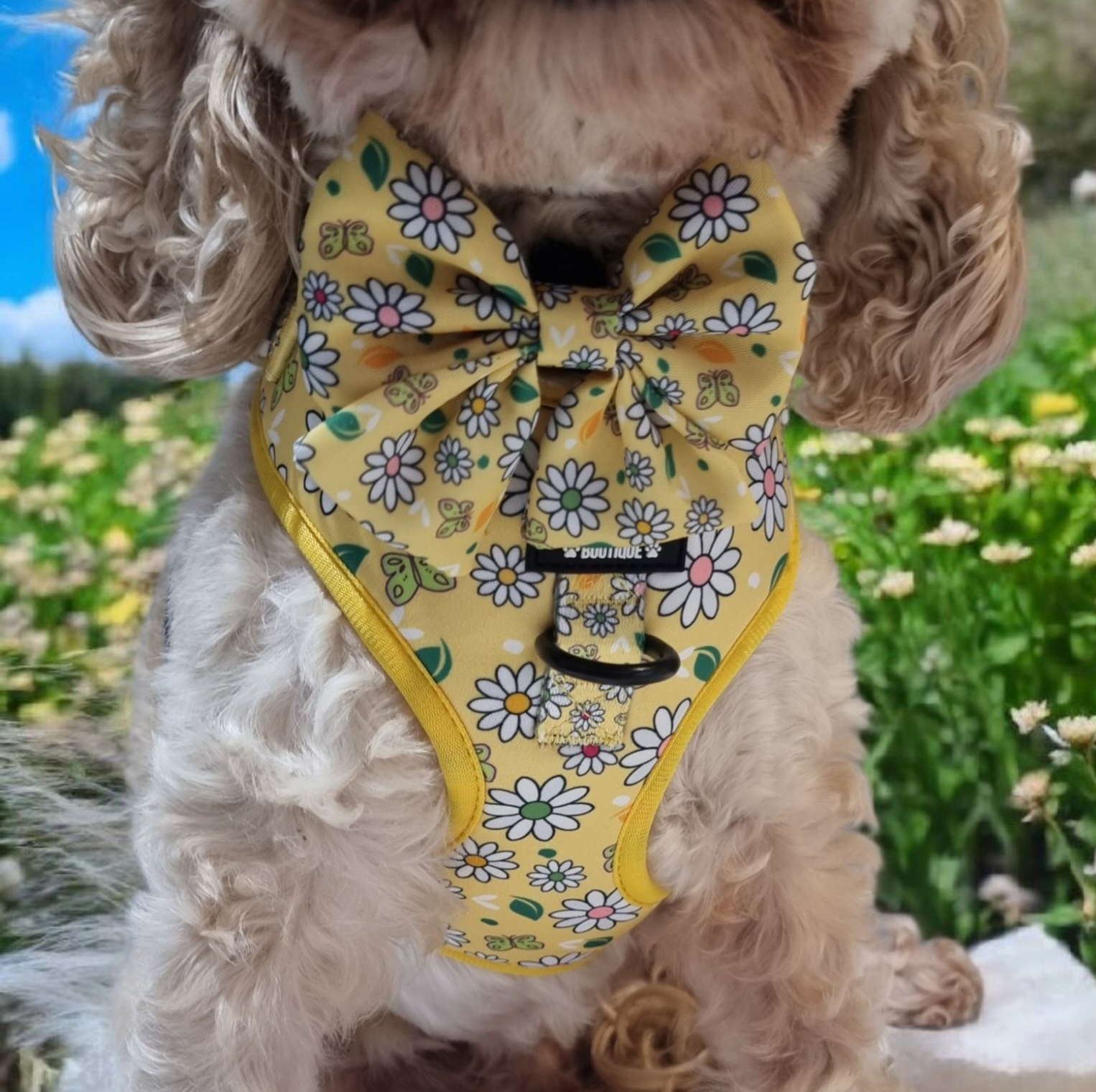Pups a Daisy Yellow Sailor Bow