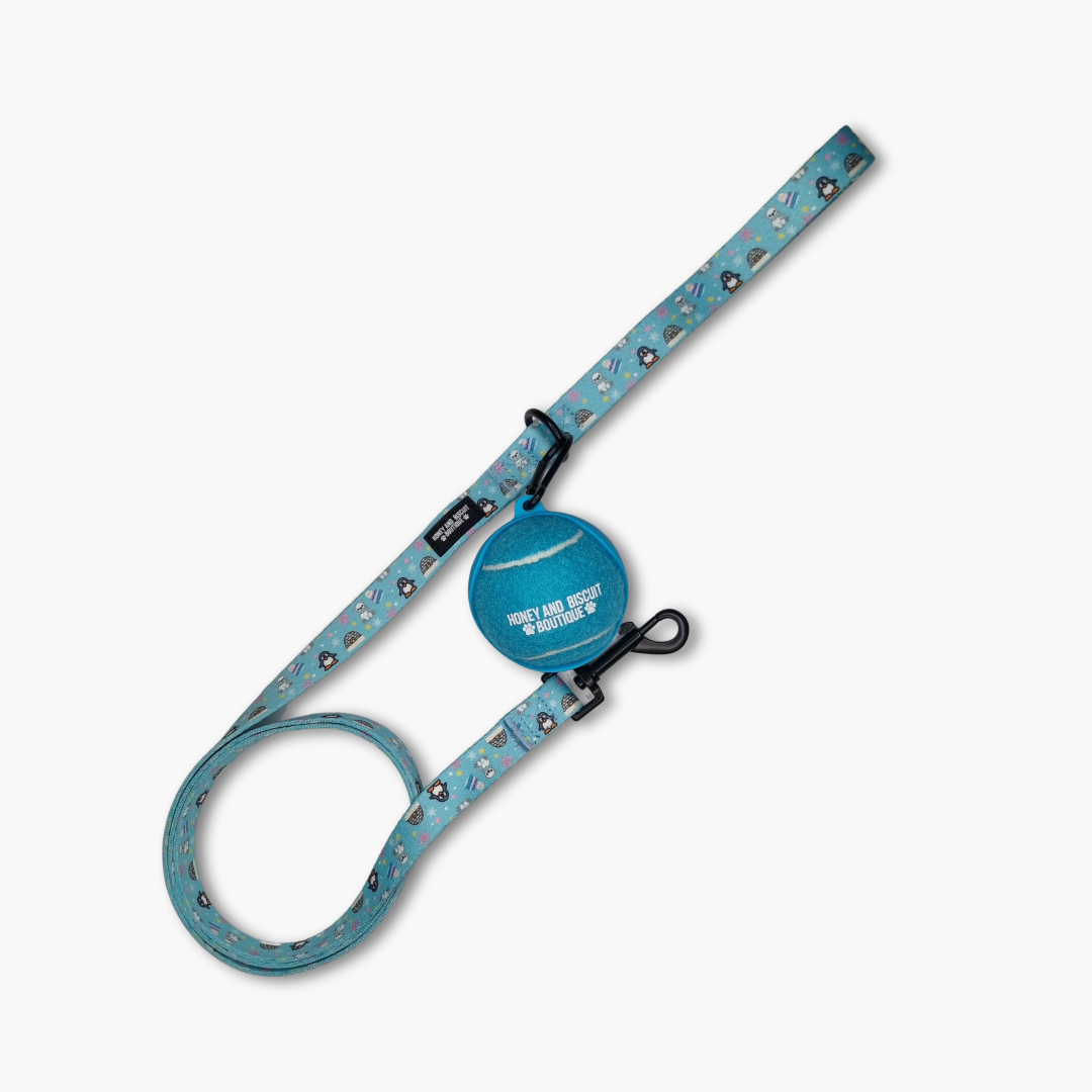 Branded Dog Ball & Holder