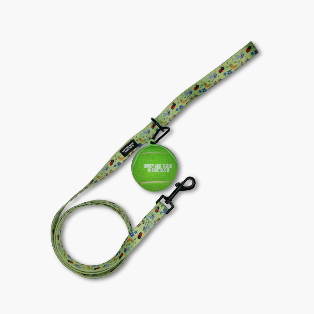 Branded Dog Ball & Holder