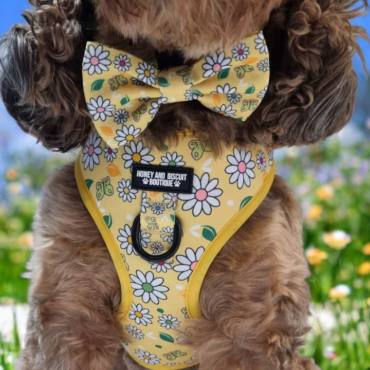Dog Bow - Pups A Daisy Yellow