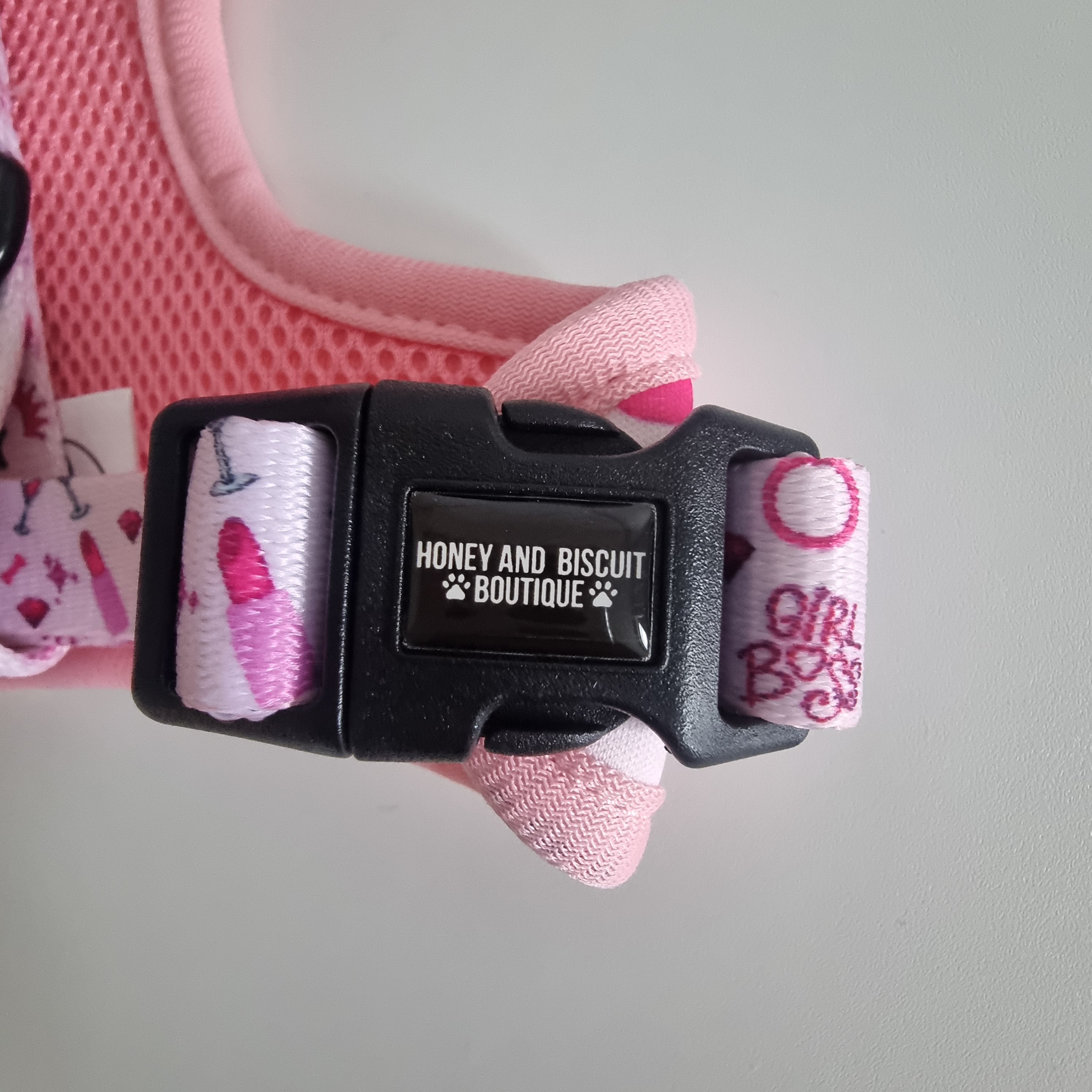 Girl Boss – Complete Walkies Bundle for Small Dogs (5 Piece Set)