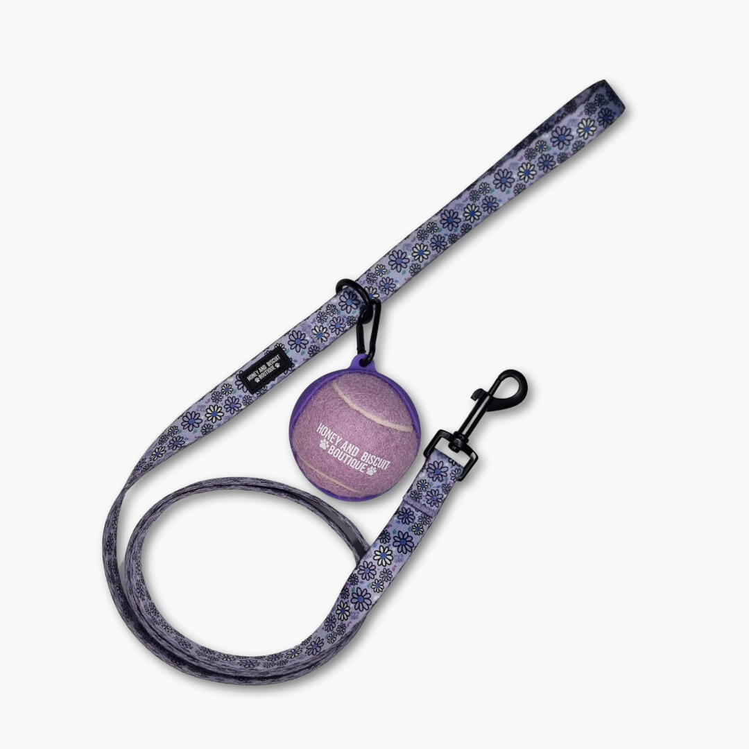 Branded Dog Ball & Holder