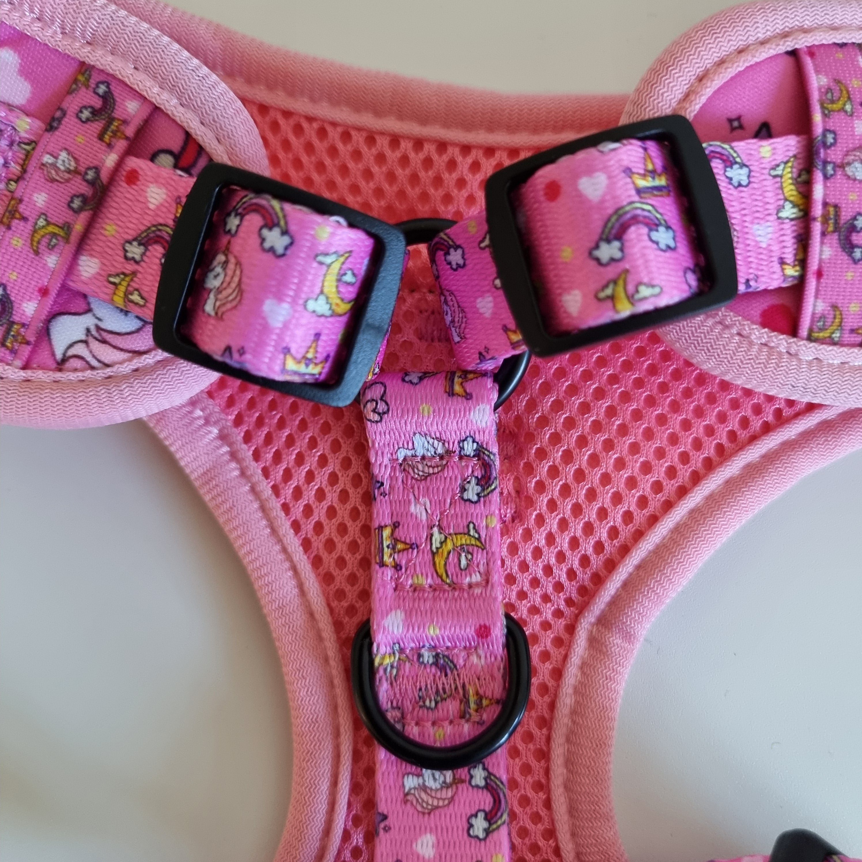 Rainbow Dreams – Complete Walkies Bundle for Small Dogs (5 Piece Set)