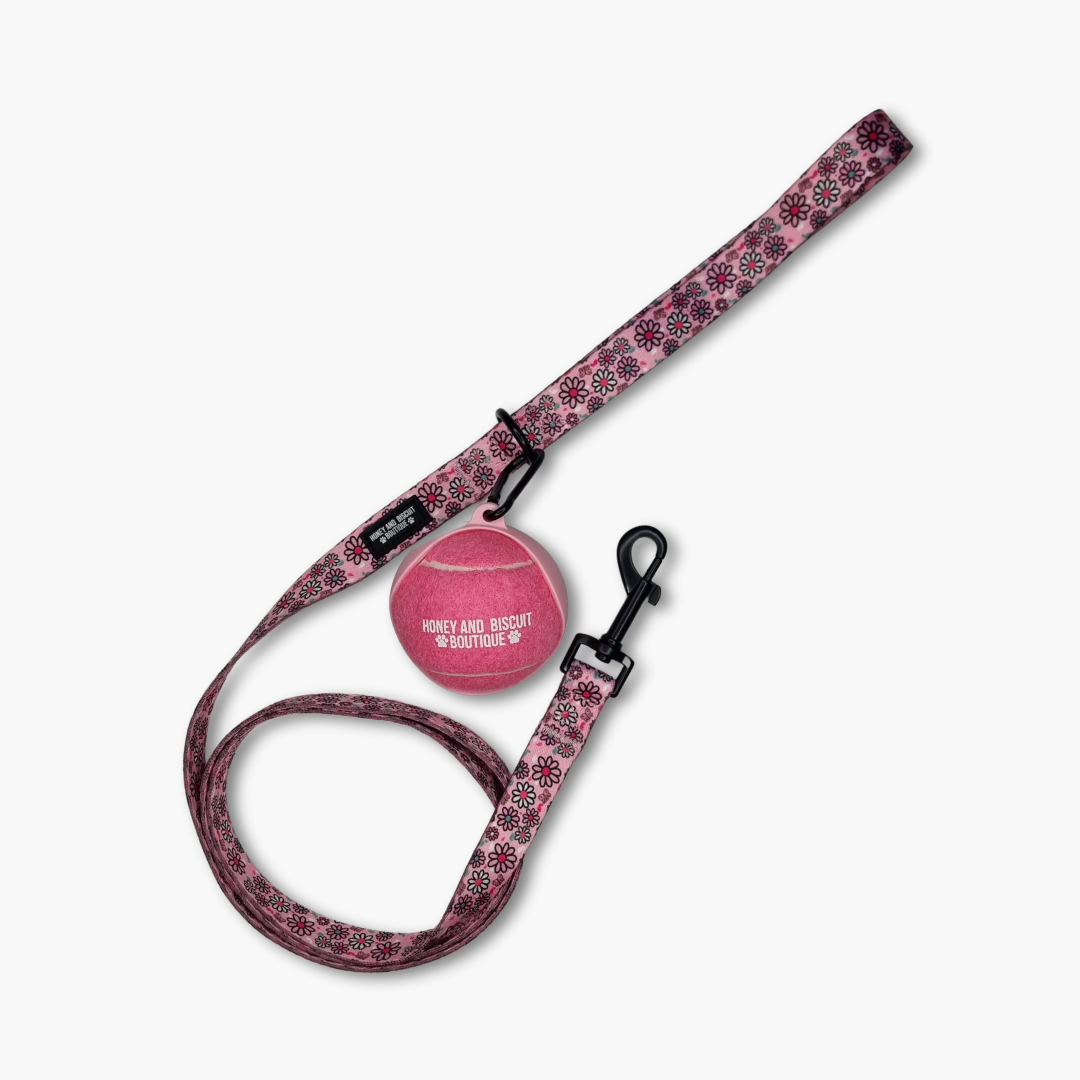 Branded Dog Ball & Holder