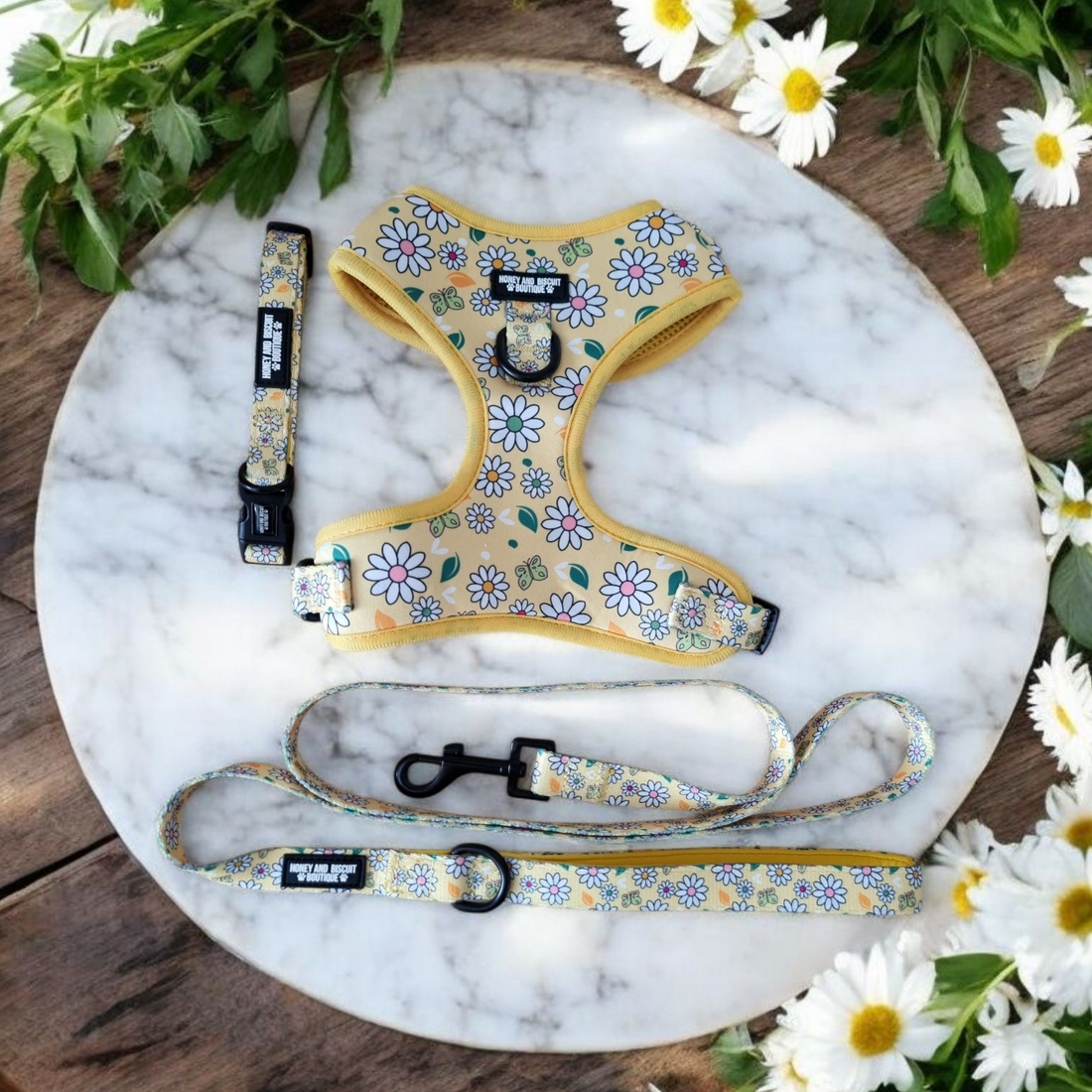 Dog Harness, Collar & Lead Bundle - Pups A Daisy Yellow