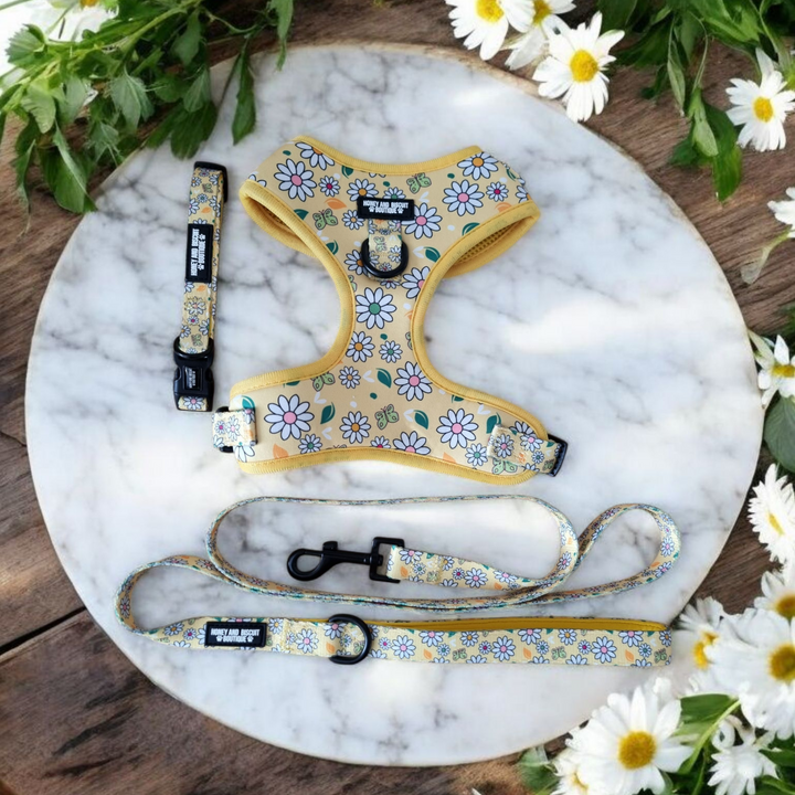 Dog Harness, Collar & Lead Bundle - Pups A Daisy Yellow