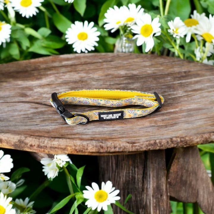 Dog Collar - Pups A Daisy Yellow