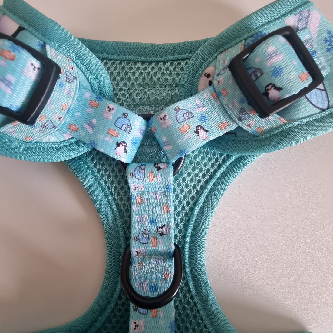 Frosted Delight – Harness, Lead & Collar Bundle for Small Dogs (3 Piece Set)