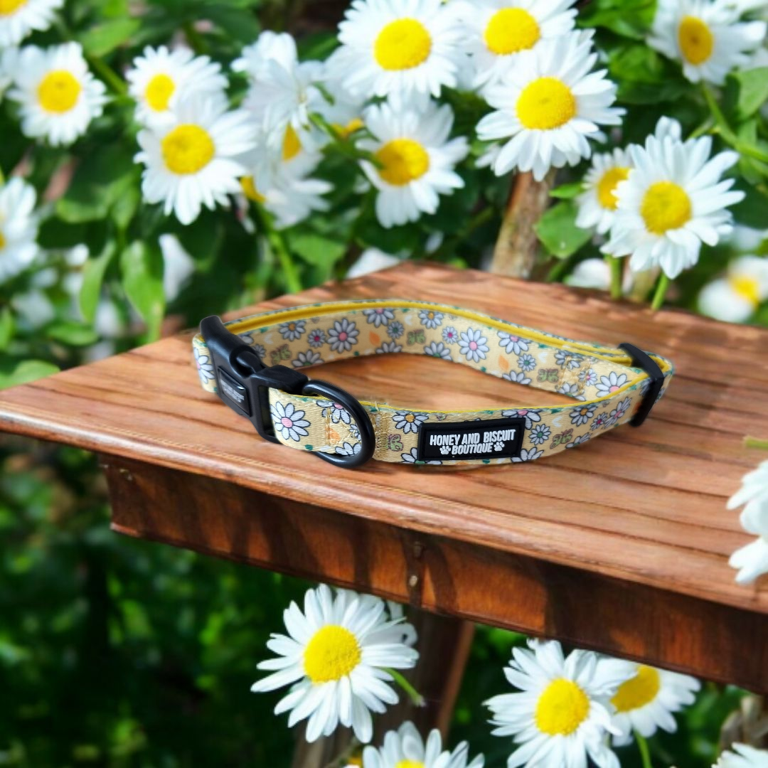 Dog Walkies Bundle - Pups A Daisy Yellow
