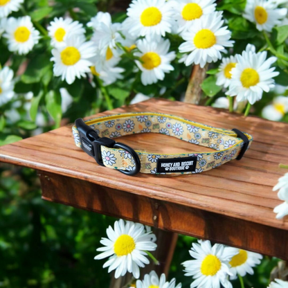 Pups A Daisy Yellow – Complete Walkies Bundle (5 Piece Set)
